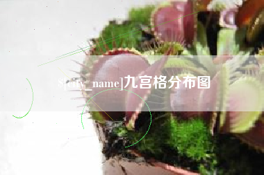 琼海九宫格分布图