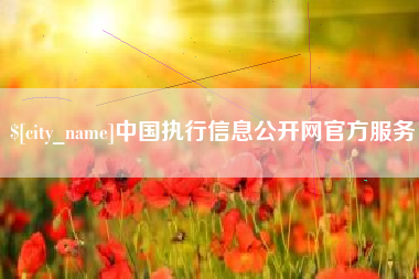 琼海中国执行信息公开网官方服务
