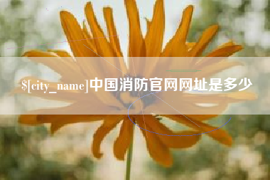 琼海中国消防官网网址是多少