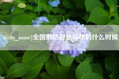 琼海全国消防日是每年的什么时候
