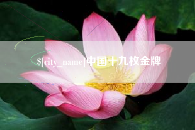 琼海中国十九枚金牌