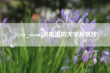 琼海河南消防大学分数线