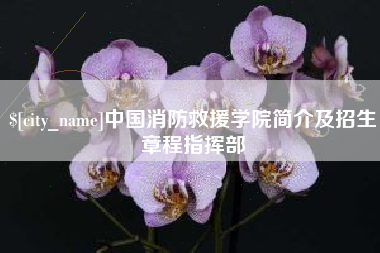 琼海中国消防救援学院简介及招生章程指挥部