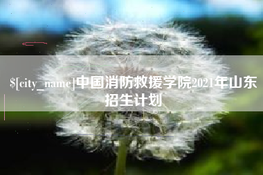 琼海中国消防救援学院2021年山东招生计划