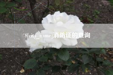 琼海消防证的查询