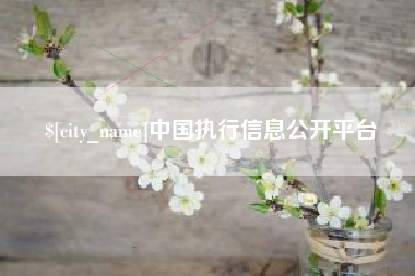 琼海中国执行信息公开平台