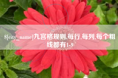 琼海九宫格规则,每行,每列,每个粗线都有1-9