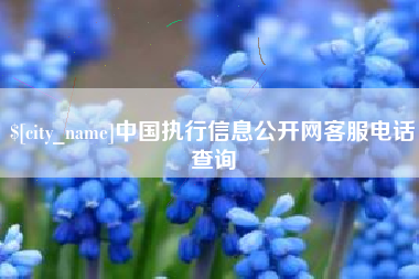 琼海中国执行信息公开网客服电话查询