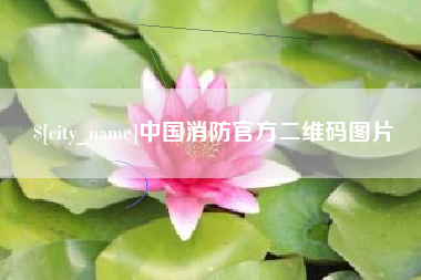 琼海中国消防官方二维码图片