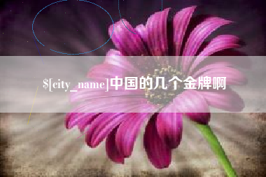 琼海中国的几个金牌啊
