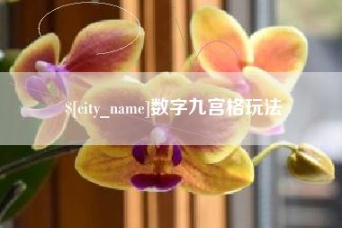 琼海数字九宫格玩法