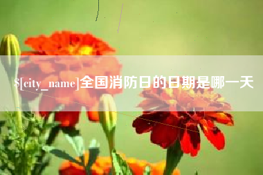 琼海全国消防日的日期是哪一天
