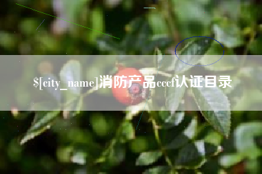 琼海消防产品cccf认证目录