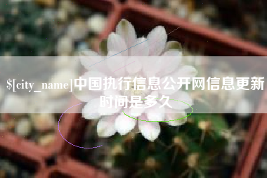 琼海中国执行信息公开网信息更新时间是多久