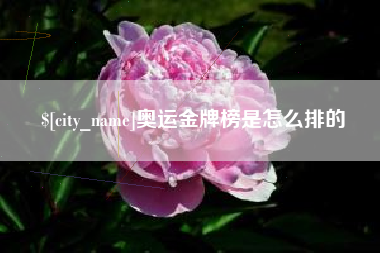 琼海奥运金牌榜是怎么排的