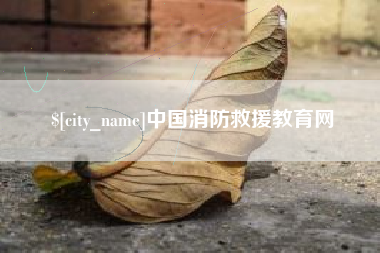 琼海中国消防救援教育网