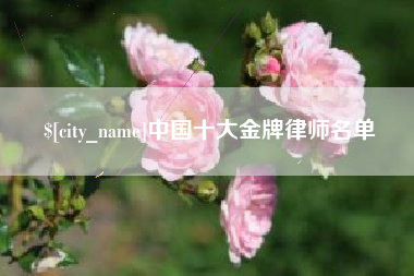 琼海中国十大金牌律师名单