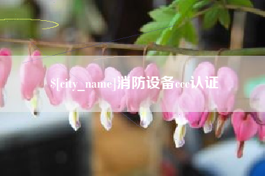 琼海消防设备ccc认证