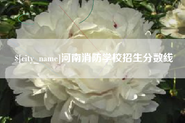 琼海河南消防学校招生分数线