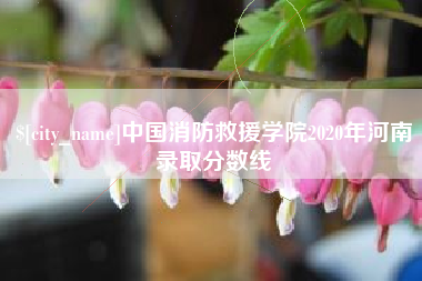 琼海中国消防救援学院2020年河南录取分数线