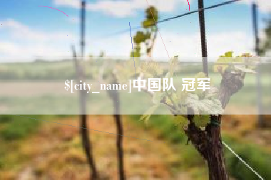 琼海中国队 冠军