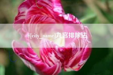 琼海九宫排除法