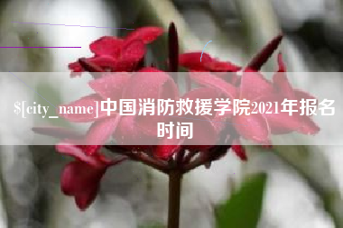 琼海中国消防救援学院2021年报名时间