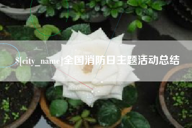 琼海全国消防日主题活动总结