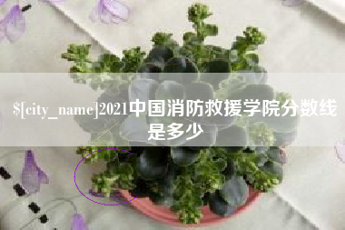 琼海2021中国消防救援学院分数线是多少