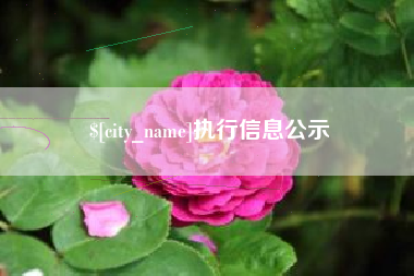 琼海执行信息公示