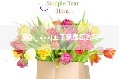 琼海王子豪是怎么写