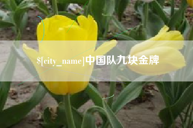 琼海中国队九块金牌