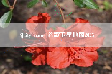 琼海谷歌卫星地图2025