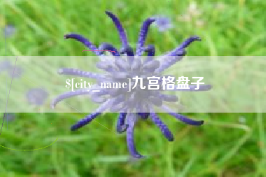 琼海九宫格盘子