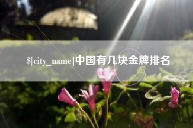 琼海中国有几块金牌排名