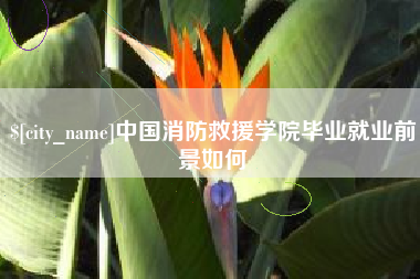 琼海中国消防救援学院毕业就业前景如何