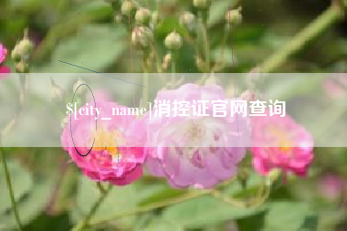 琼海消控证官网查询