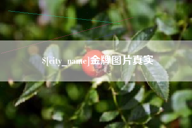 琼海金牌图片真实