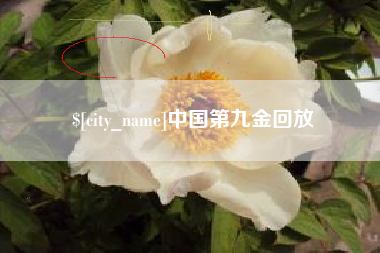 琼海中国第九金回放