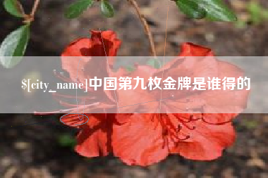 琼海中国第九枚金牌是谁得的