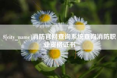 琼海消防官网查询系统查询消防职业资格证书