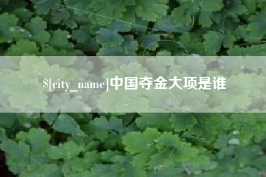 琼海中国夺金大项是谁