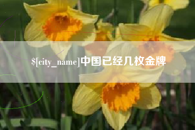 琼海中国已经几枚金牌