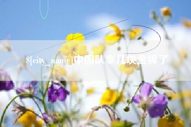 琼海中国队拿几块金牌了