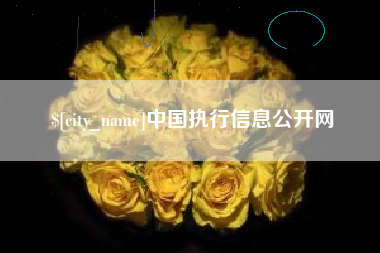 琼海中国执行信息公开网