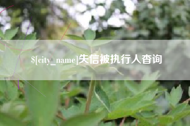 琼海失信被执行人杳询