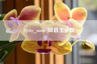 琼海邱县王子磊