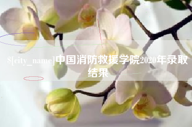 琼海中国消防救援学院2020年录取结果