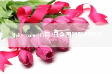 琼海11月9日全国消防日图片