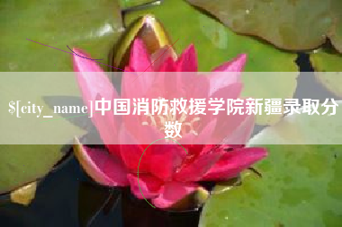 琼海中国消防救援学院新疆录取分数